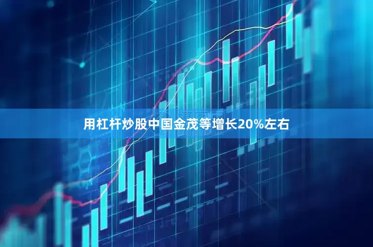用杠杆炒股中国金茂等增长20%左右