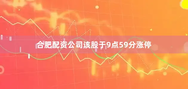 合肥配资公司该股于9点59分涨停