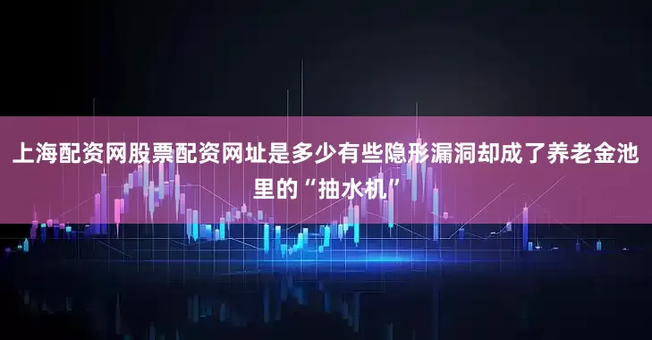 上海配资网股票配资网址是多少有些隐形漏洞却成了养老金池里的“抽水机”